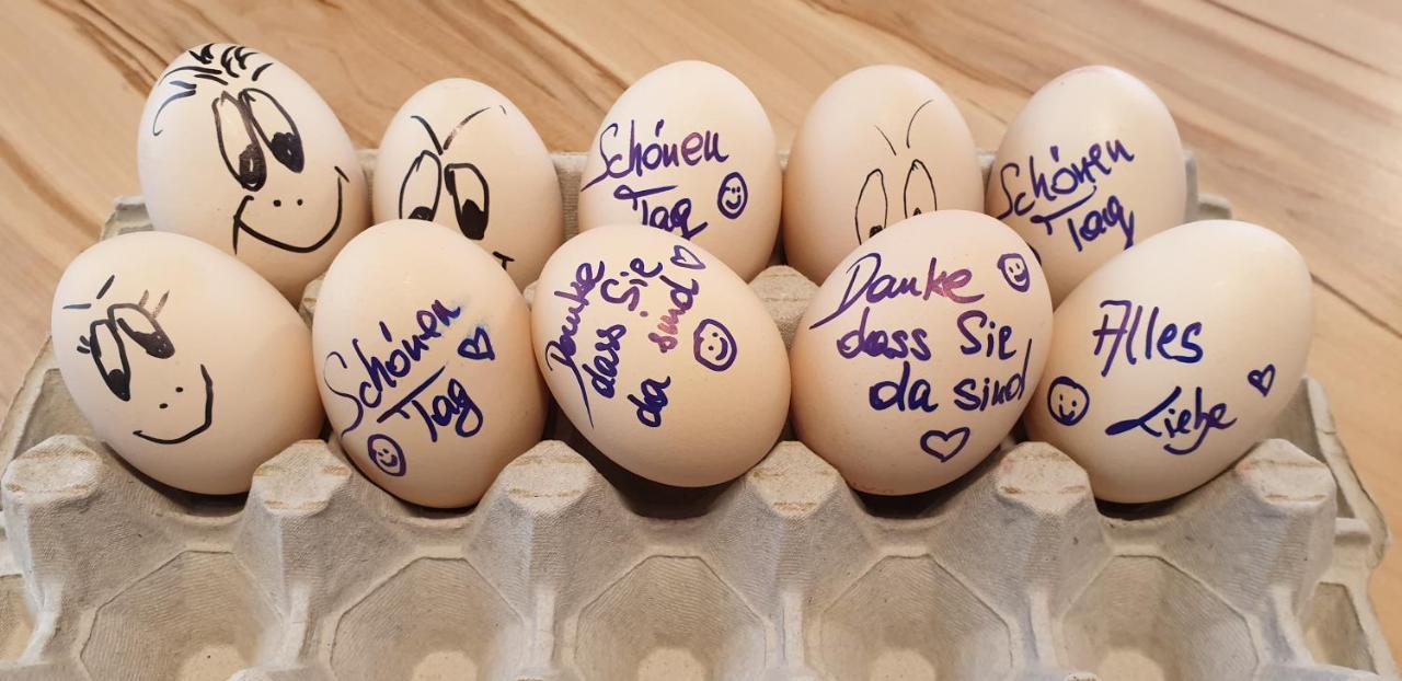 Bed And Breakfast Mittelkaernten Althofen  エクステリア 写真