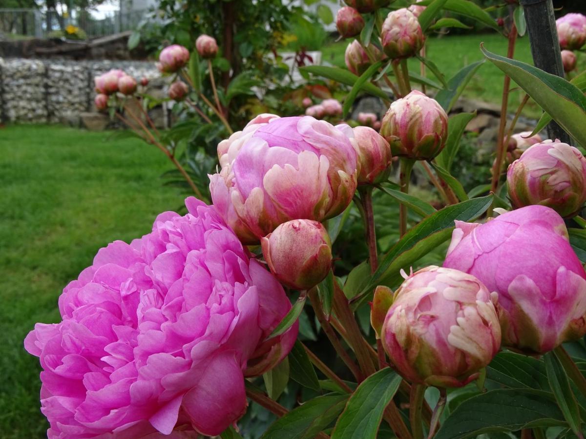 Bed And Breakfast Mittelkaernten Althofen  エクステリア 写真