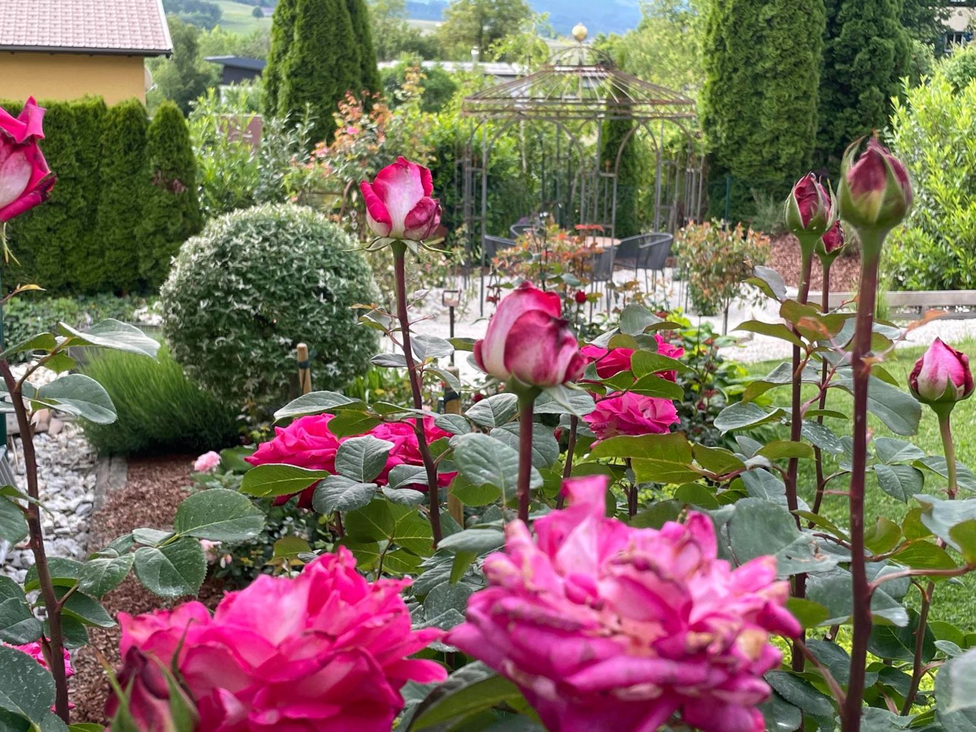 Bed And Breakfast Mittelkaernten Althofen  エクステリア 写真