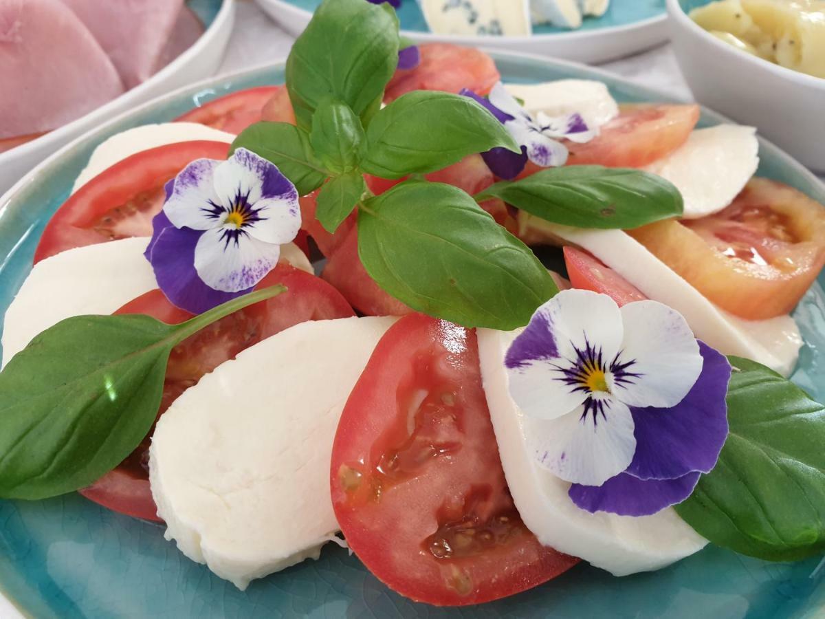 Bed And Breakfast Mittelkaernten Althofen  エクステリア 写真