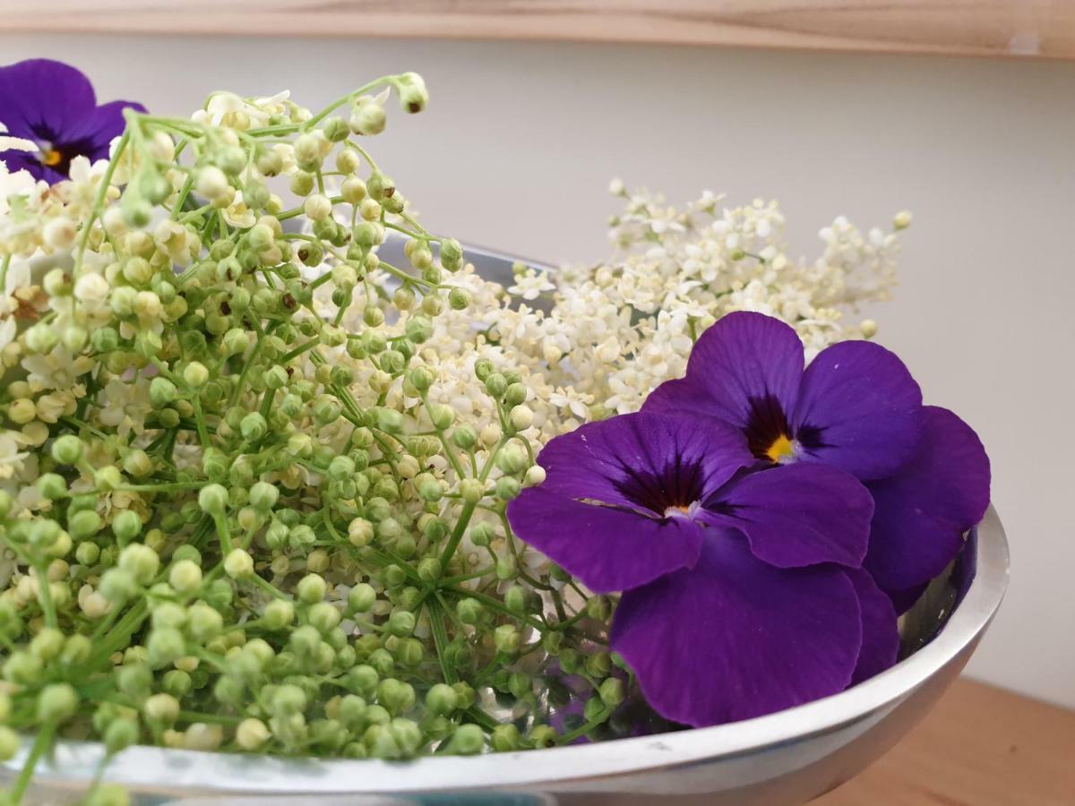 Bed And Breakfast Mittelkaernten Althofen  エクステリア 写真