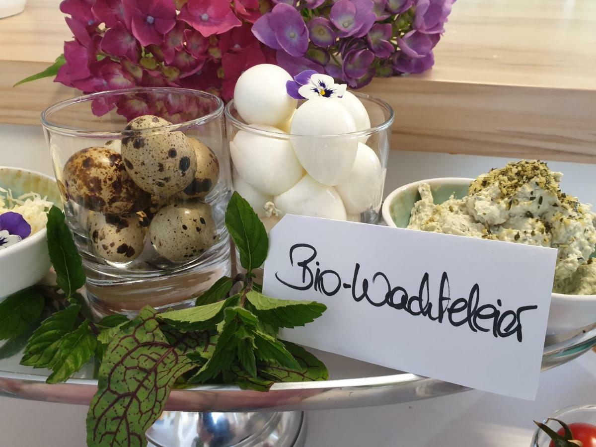 Bed And Breakfast Mittelkaernten Althofen  エクステリア 写真